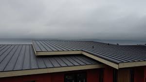 Best Cold Roofs  in Arden Arde, CA